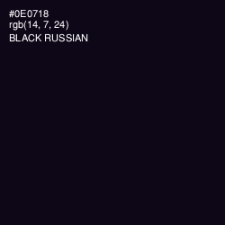 #0E0718 - Black Russian Color Image